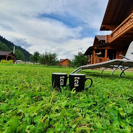 Khytir Falchi Casa vacanze Mykulychyn