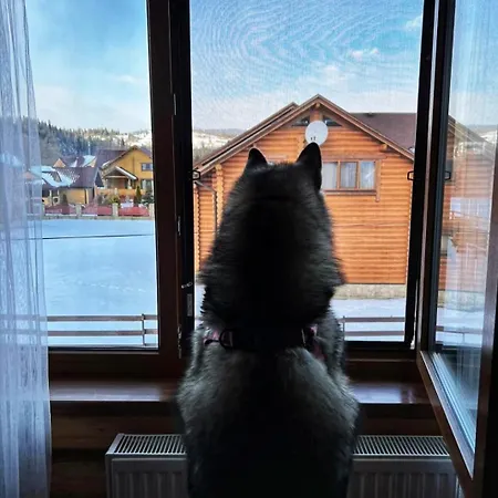Khytir Falchi